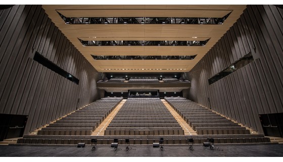 Auditorium Linear Diffusor wood